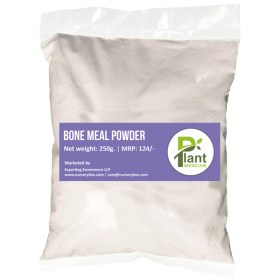 Best Soli & Fertilisers Supplier in Noida | Noida Greens Nursery