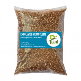 Best Soli & Fertilisers Supplier in Noida | Noida Greens Nursery