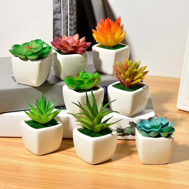 Ceramic pots in Noida | Noida Greens Nursery