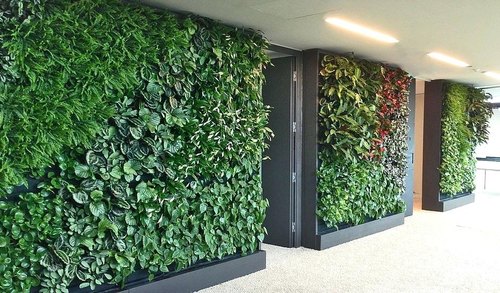 Vertical Garden service providers in Noida