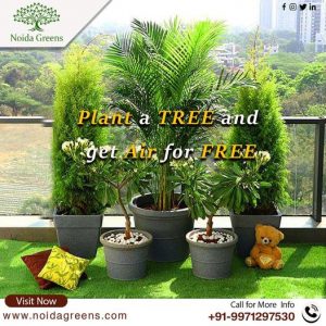 plant nursery in delhi Ncr