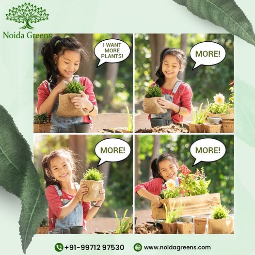 Wholesale plant nursery in Noida