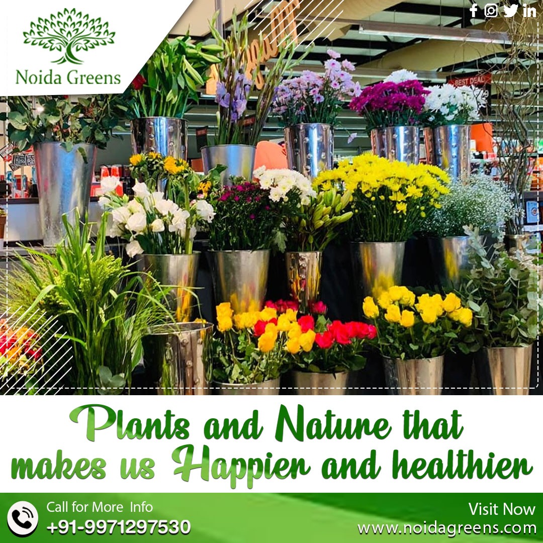 vertical garden in noida